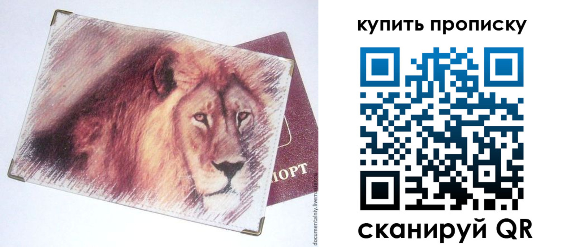 прописка паспорт в Богородске